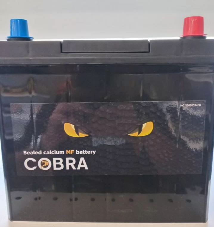 Аккумулятор автомобильный 55ah cobra